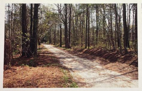 1690 Highway 41 Mount Pleasant SC 29466