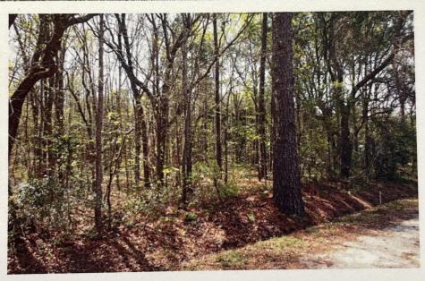 1690 Highway 41 Mount Pleasant SC 29466