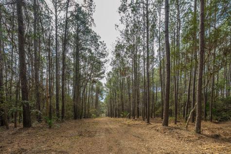 4297 Wild Turkey Way Johns Island SC 29455