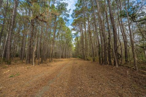 4297 Wild Turkey Way Johns Island SC 29455