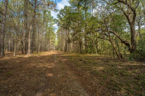 4297 Wild Turkey Way Johns Island SC 29455