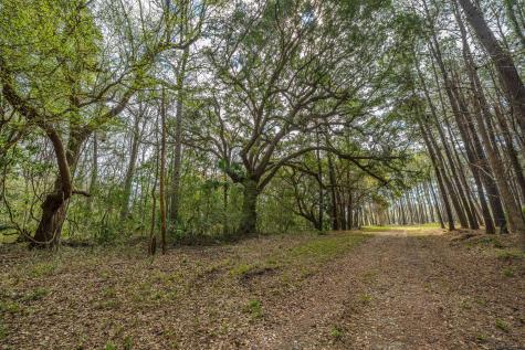 4297 Wild Turkey Way Johns Island SC 29455