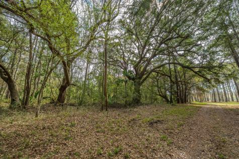 4297 Wild Turkey Way Johns Island SC 29455