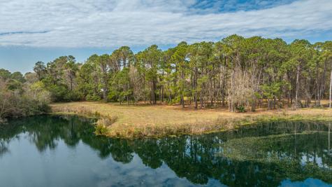 4297 Wild Turkey Way Johns Island SC 29455