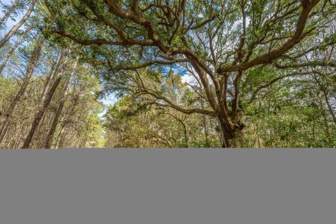 4297 Wild Turkey Way Johns Island SC 29455