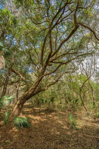 4297 Wild Turkey Way Johns Island SC 29455