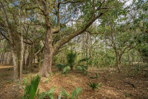 4297 Wild Turkey Way Johns Island SC 29455