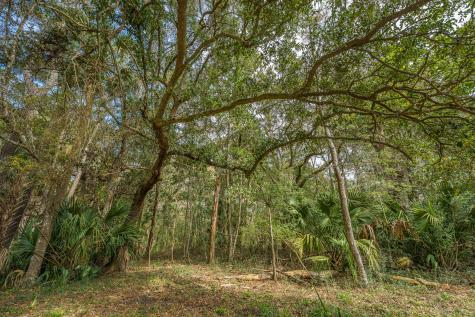 4297 Wild Turkey Way Johns Island SC 29455