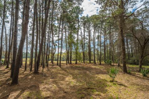 4297 Wild Turkey Way Johns Island SC 29455