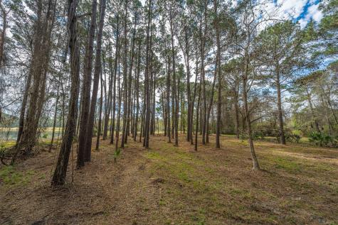 4297 Wild Turkey Way Johns Island SC 29455