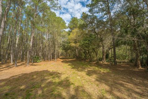 4297 Wild Turkey Way Johns Island SC 29455