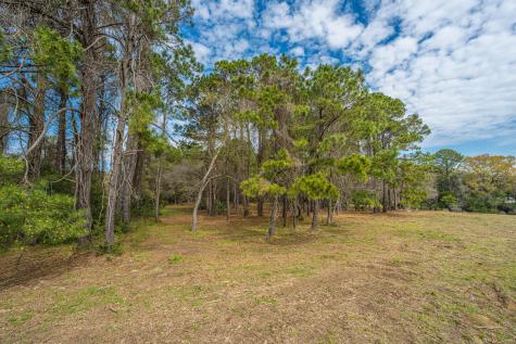 4297 Wild Turkey Way Johns Island SC 29455