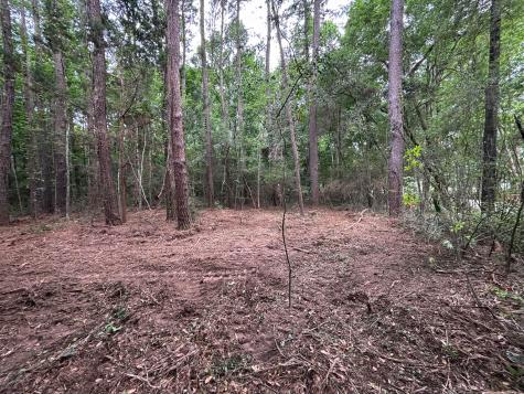 0 River Road Johns Island SC 29455