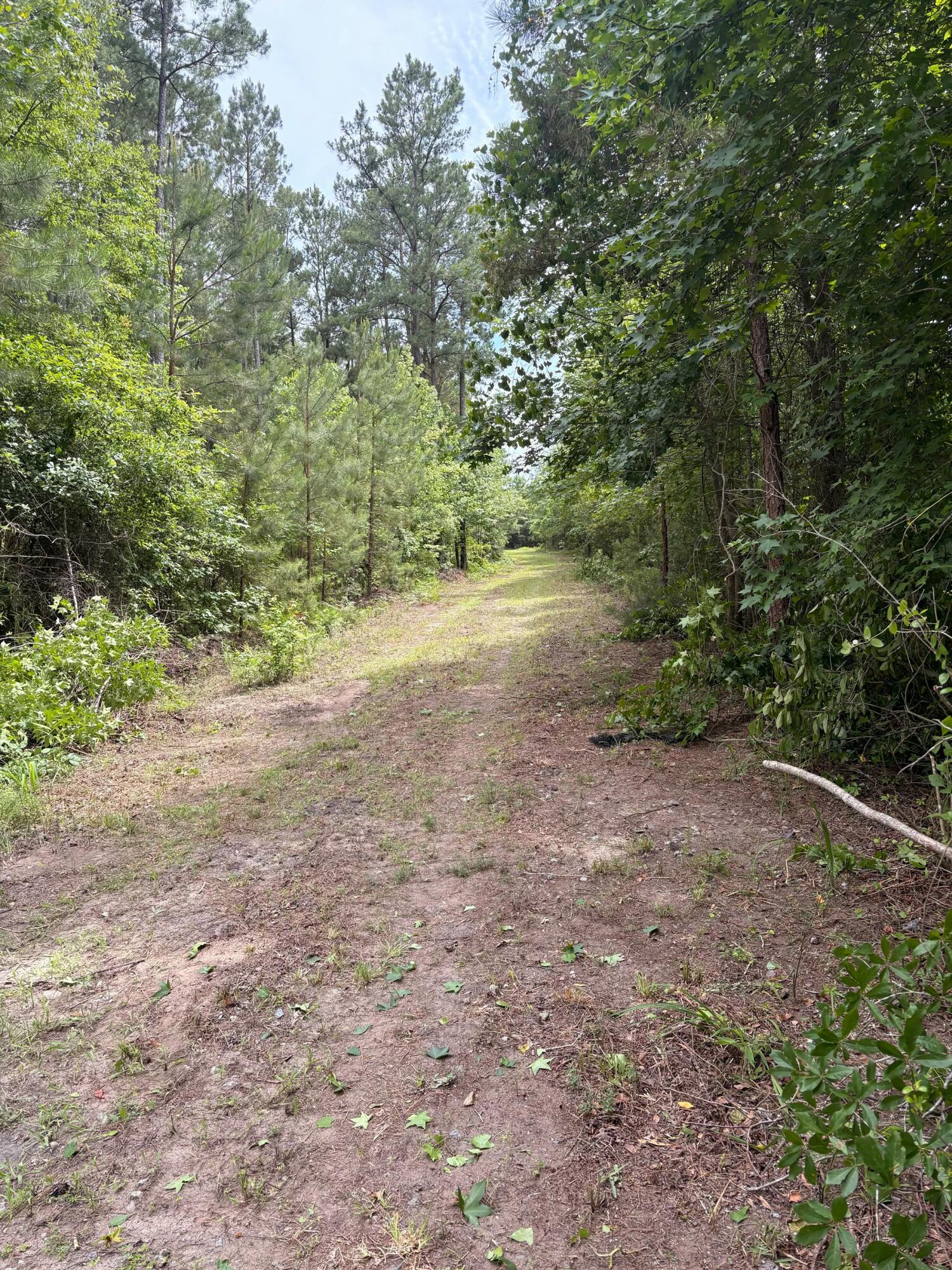 0 Cade Road Lake City SC 29560