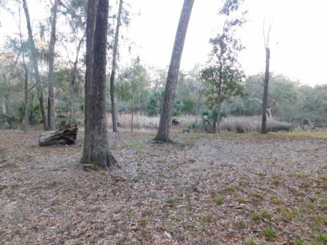 Lot 4 Edisto Oak Lane Edisto Island SC 29438