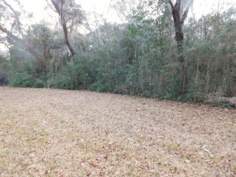 Lot 4 Edisto Oak Lane Edisto Island SC 29438