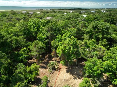 697 Jan Savage Way Edisto Island SC 29438