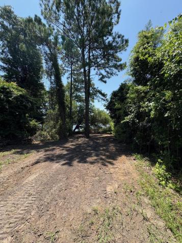 6076 Overlook Road Johns Island SC 29455