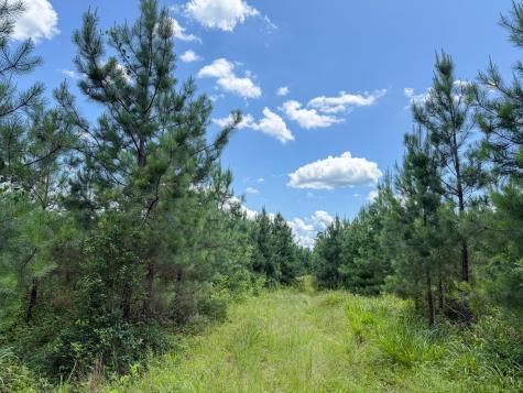 0 Cool Branch Road Chester SC 29706