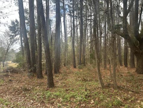 2437 Cape Road Johns Island SC 29455