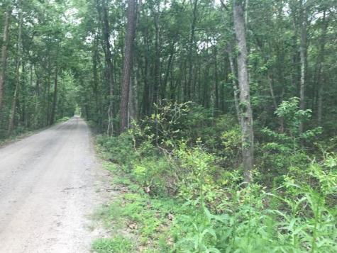 Tbd Lost Oaks Drive Bluffton SC 29910