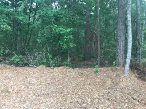 Tbd Lost Oaks Drive Bluffton SC 29910