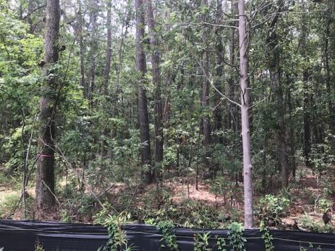 Tbd Lost Oaks Drive Bluffton SC 29910
