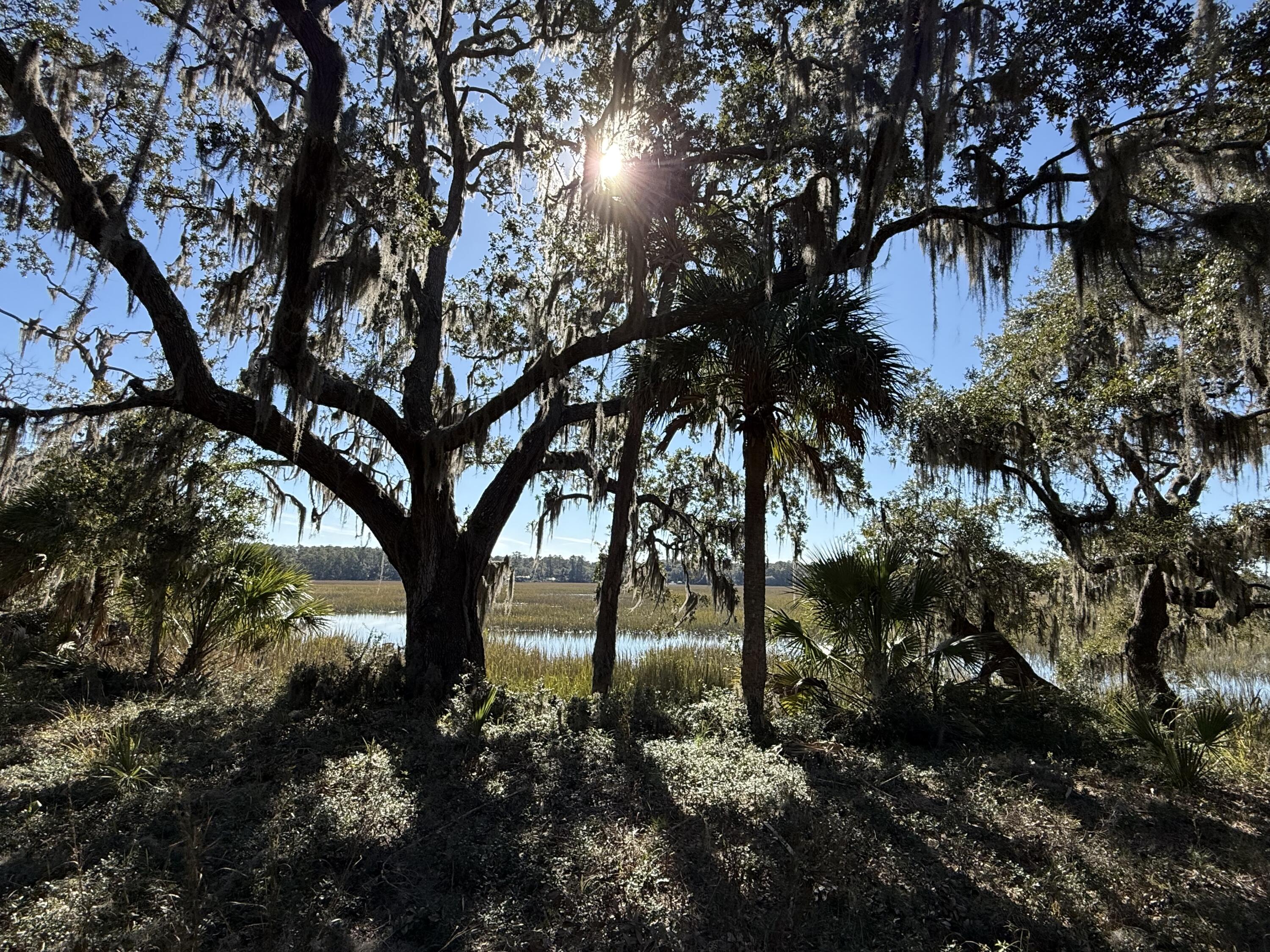 8341 Crooked Creek Lane Edisto Island SC 29438