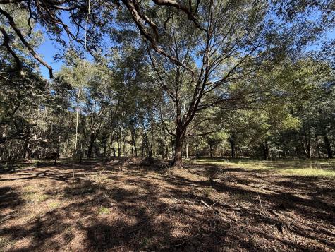 8341 Crooked Creek Lane Edisto Island SC 29438