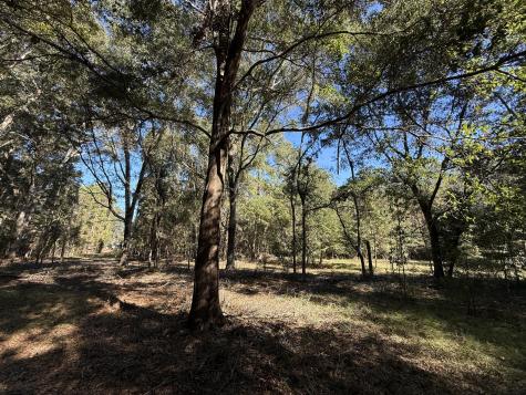 8341 Crooked Creek Lane Edisto Island SC 29438