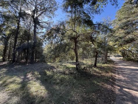 8341 Crooked Creek Lane Edisto Island SC 29438