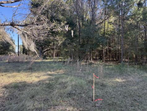 8341 Crooked Creek Lane Edisto Island SC 29438