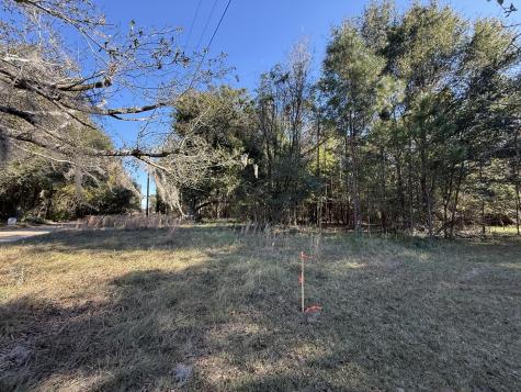 8341 Crooked Creek Lane Edisto Island SC 29438