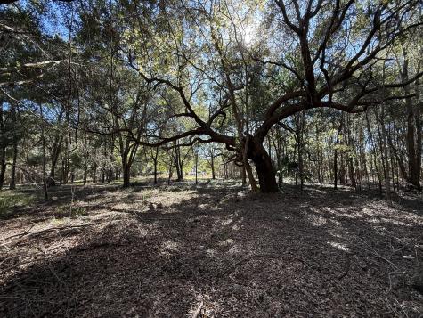 8341 Crooked Creek Lane Edisto Island SC 29438