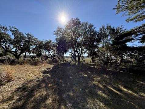 8341 Crooked Creek Lane Edisto Island SC 29438