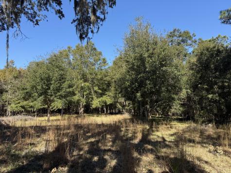 8341 Crooked Creek Lane Edisto Island SC 29438