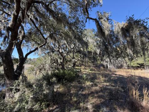 8341 Crooked Creek Lane Edisto Island SC 29438