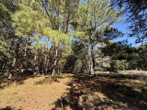 8341 Crooked Creek Lane Edisto Island SC 29438