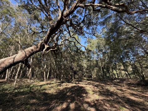 8341 Crooked Creek Lane Edisto Island SC 29438