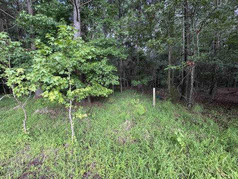 2251 Turkey Hill Road Johns Island SC 29455