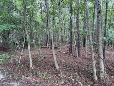 2251 Turkey Hill Road Johns Island SC 29455