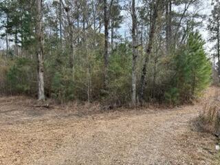 0 Gallashaw Road Summerville SC 29483