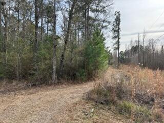 0 Gallashaw Road Summerville SC 29483