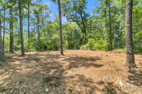 94 Lady Banks Lane Hollywood SC 29470