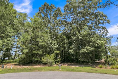 94 Lady Banks Lane Hollywood SC 29470