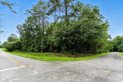 100 Wilton Drive Summerville SC 29483