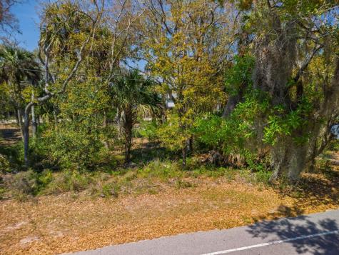 307 Jungle Road Edisto Beach SC 29438