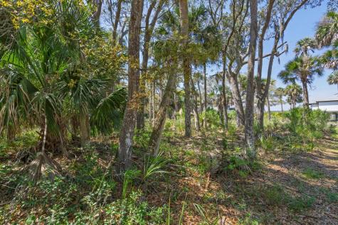 307 Jungle Road Edisto Beach SC 29438