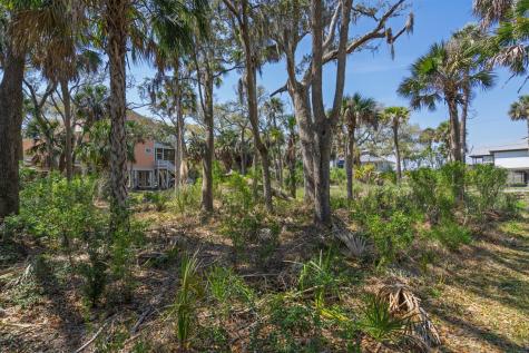 307 Jungle Road Edisto Beach SC 29438