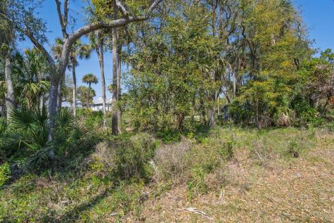 307 Jungle Road Edisto Beach SC 29438
